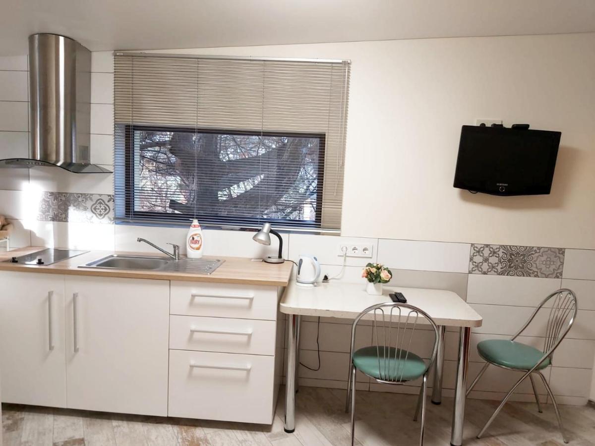Studio By The Lake Каунас Екстер'єр фото
